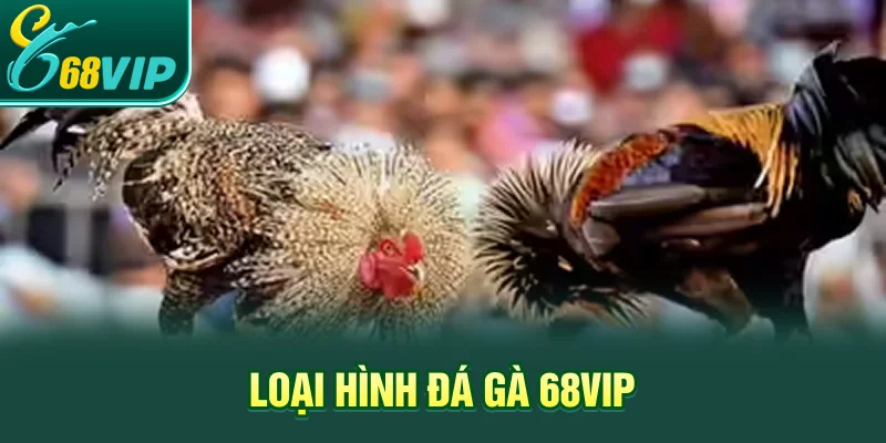 Loại hình đá gà 68VIP
