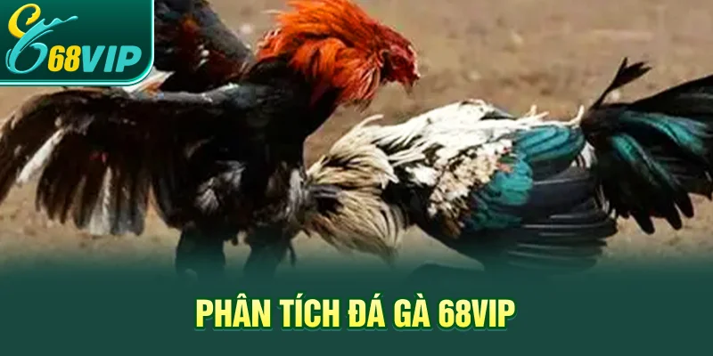 Phân tích đá gà 68VIP